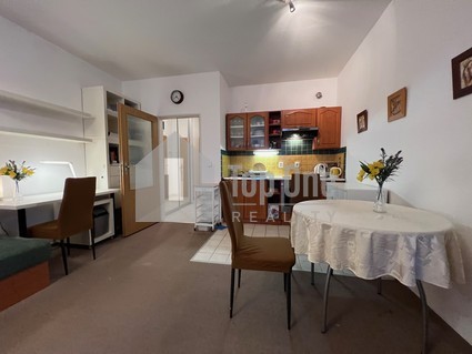 Pronájem bytu 1+kk, 34,5 m2/balkón/sklep, Roztoky, Felklova - Fotka 16