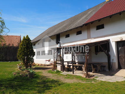 Prodej statku, pozemek 6.113 m2, Zlonice-Tmáň - Fotka 5