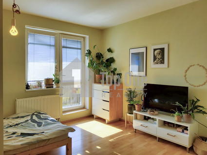 Pronájem bytu 1+kk, užitná plocha 30 m2 + 5 m2 balkon + 5 m2 sklep, P-Z, Roztoky, Najdrova - Fotka 8