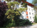 Fotka 1