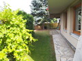 Fotka 3
